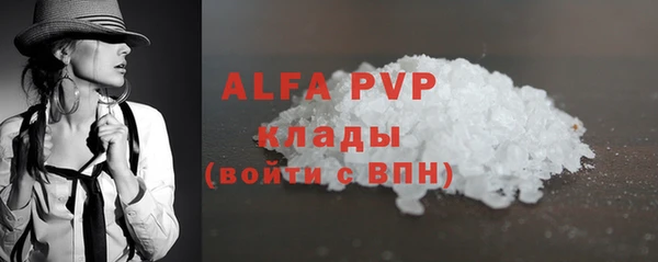 прущий лед Алзамай