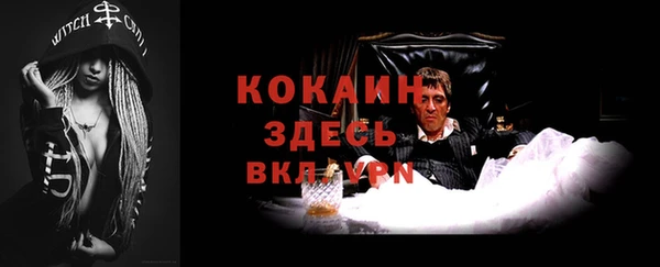 гидра Алексин