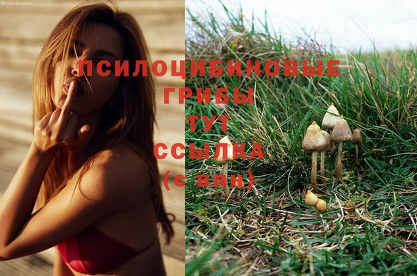 стаф Алексеевка