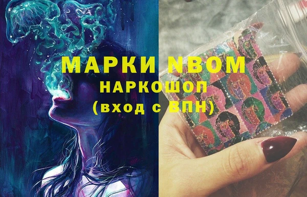 гидра Алексин