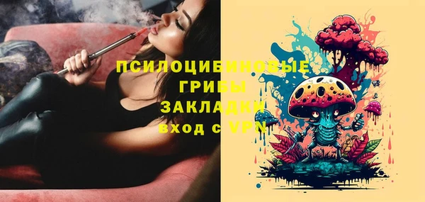стаф Алексеевка