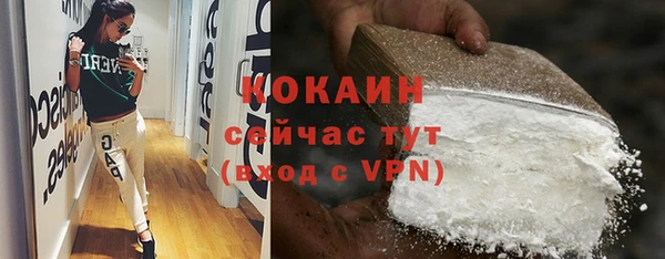 прущий лед Алзамай
