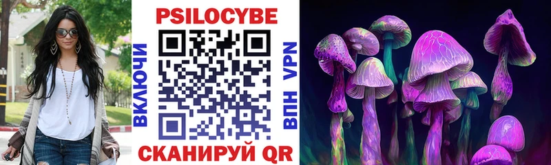 наркота  Лаишево  Псилоцибиновые грибы Cubensis 